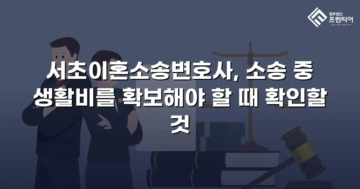 서초이혼소송변호사, 소송 중 생활비를 확보해야 할 때 확인할 것
