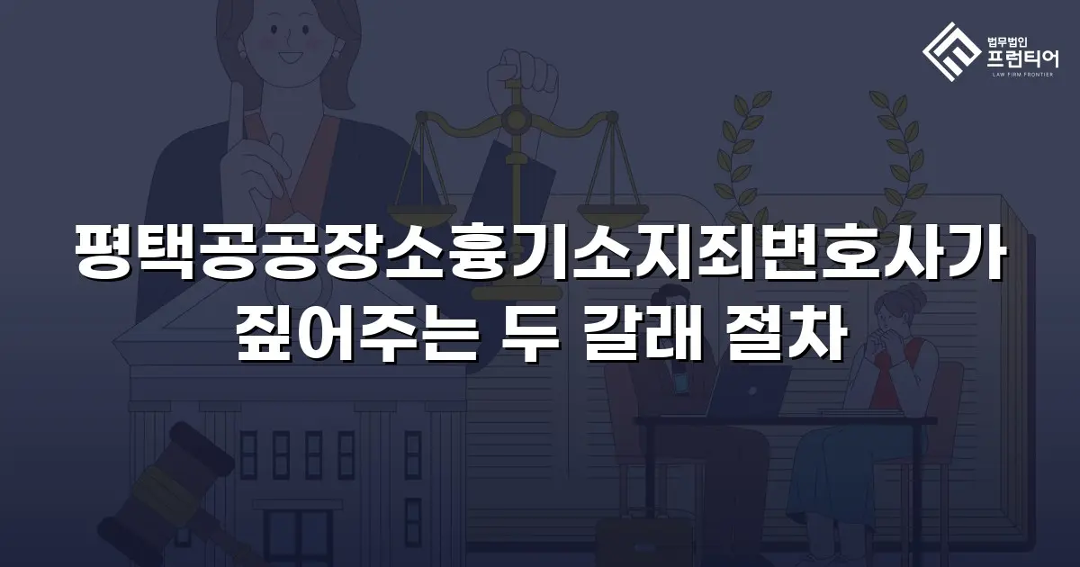 평택공공장소흉기소지죄변호사가 짚어주는 두 갈래 절차