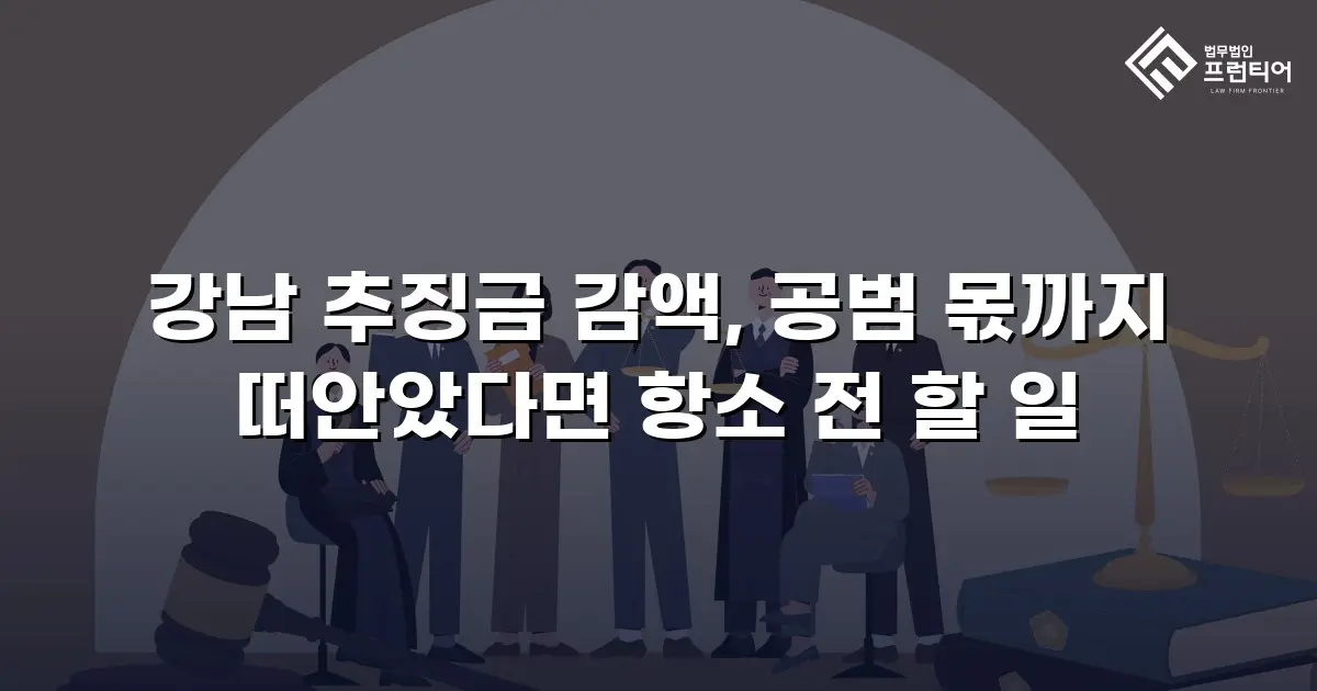 강남 추징금 감액, 공범 몫까지 떠안았다면 항소 전 할 일