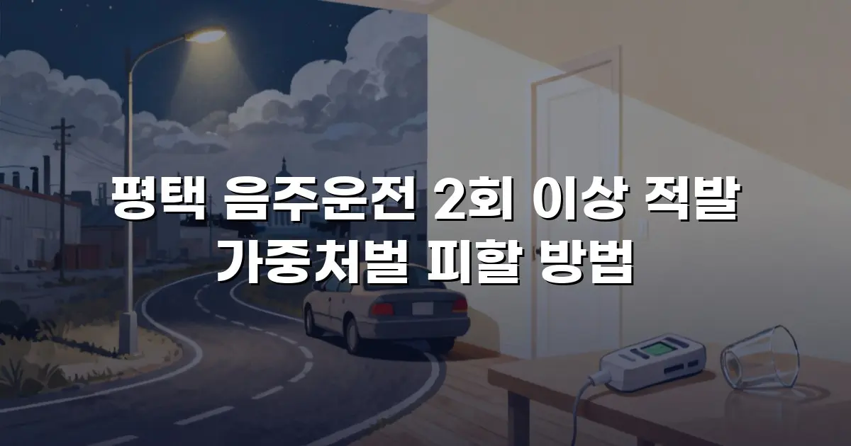 평택 음주운전 2회 이상 적발 가중처벌 피할 방법