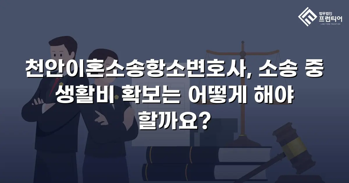 천안이혼소송항소변호사, 소송 중 생활비 확보는 어떻게 해야 할까요?