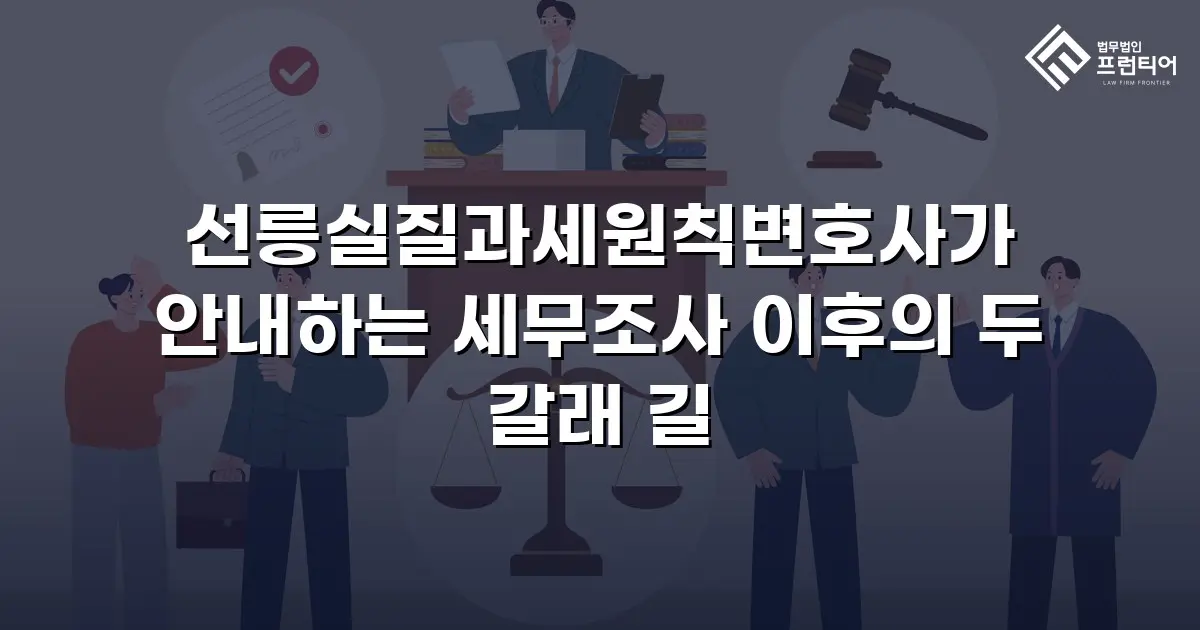 선릉실질과세원칙변호사가 안내하는 세무조사 이후의 두 갈래 길