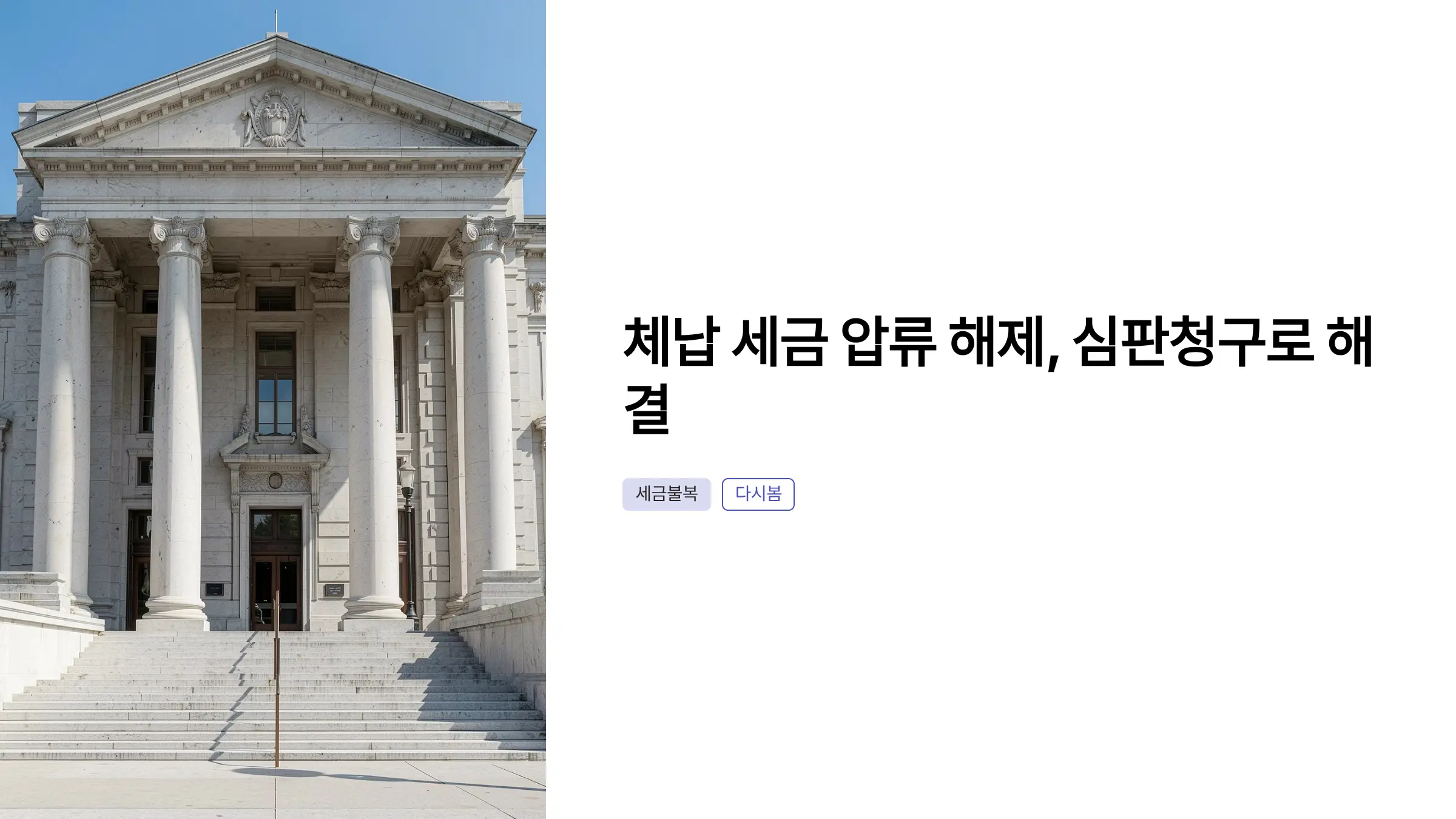 국세 심판청구로 체납 세금 압류 해제 신청하는 법