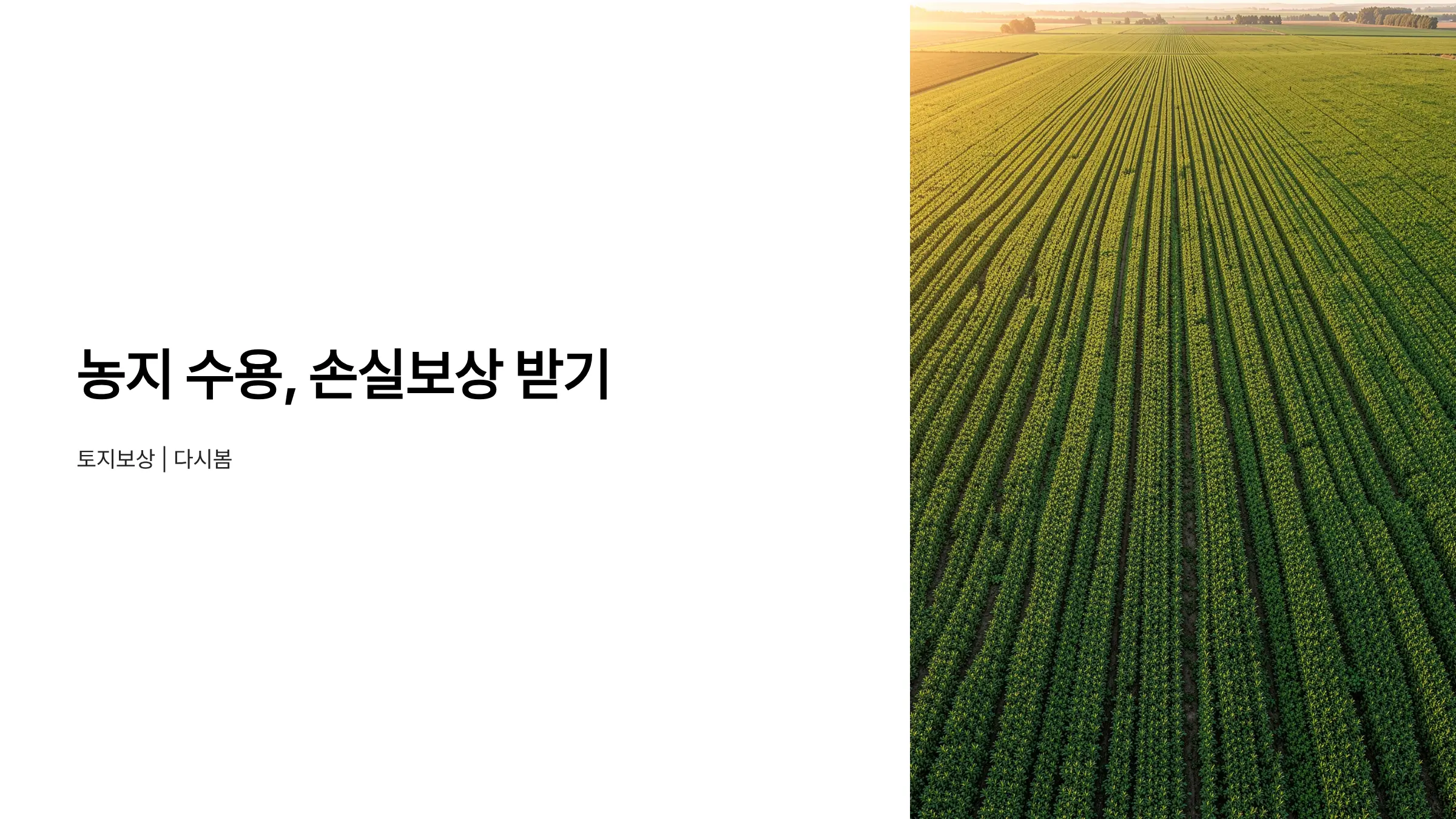 농지 수용 보상에서 농업손실 보상금을 받는 방법과 절차