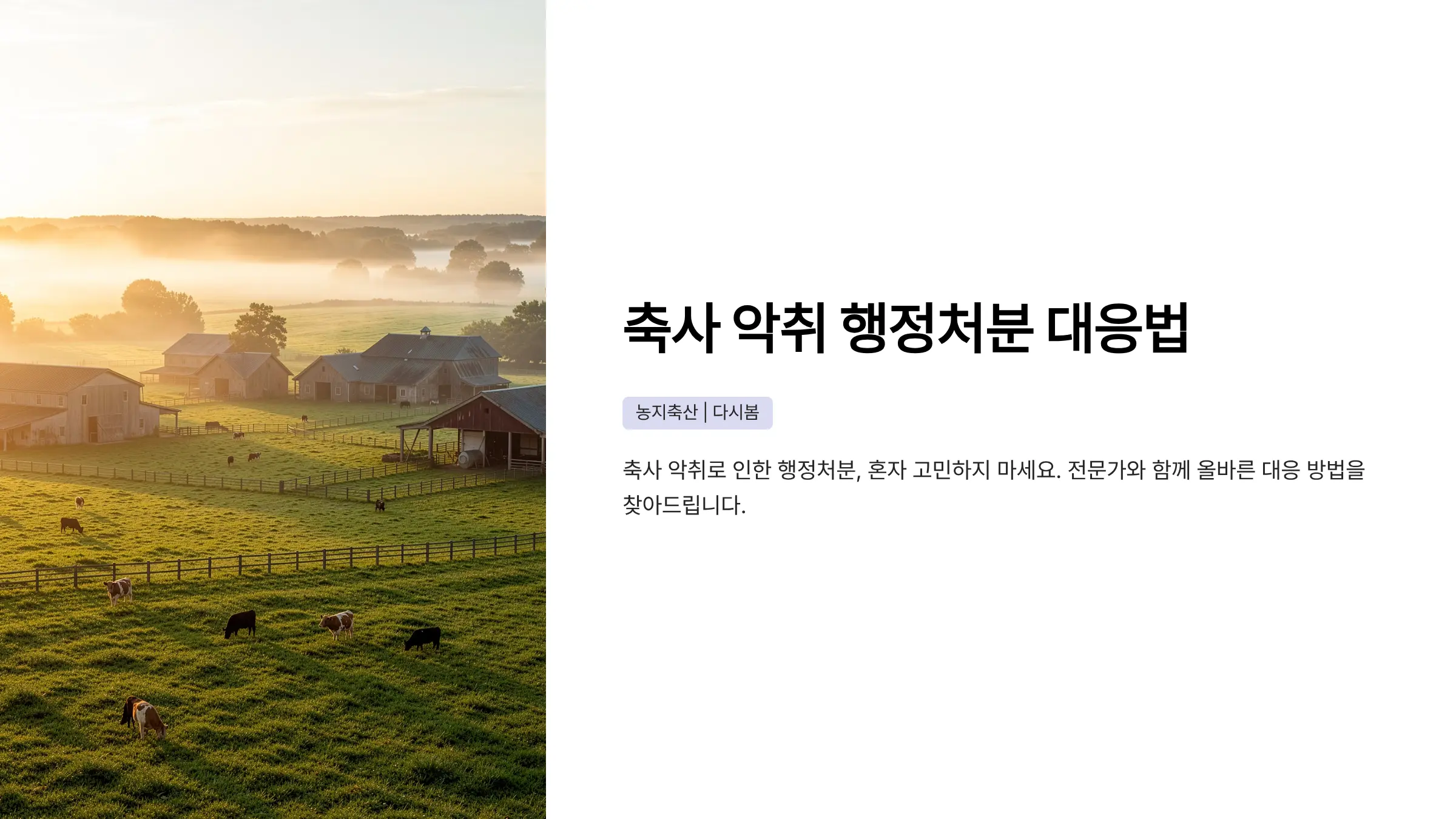 축사 악취 민원으로 행정처분받았을 때 대응 방법