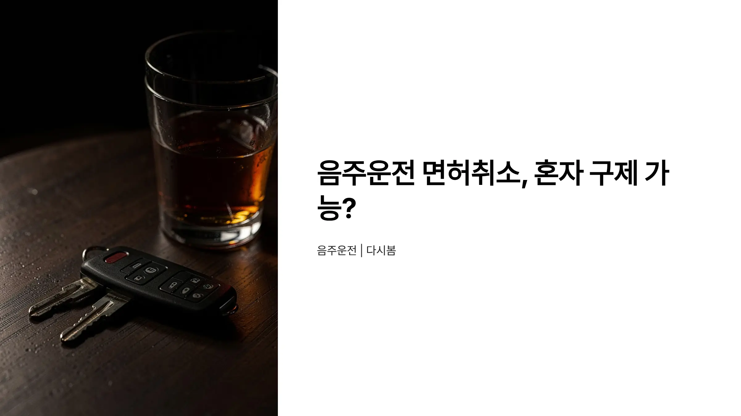 음주운전 면허취소 구제, 행정심판 혼자 할 수 있을까