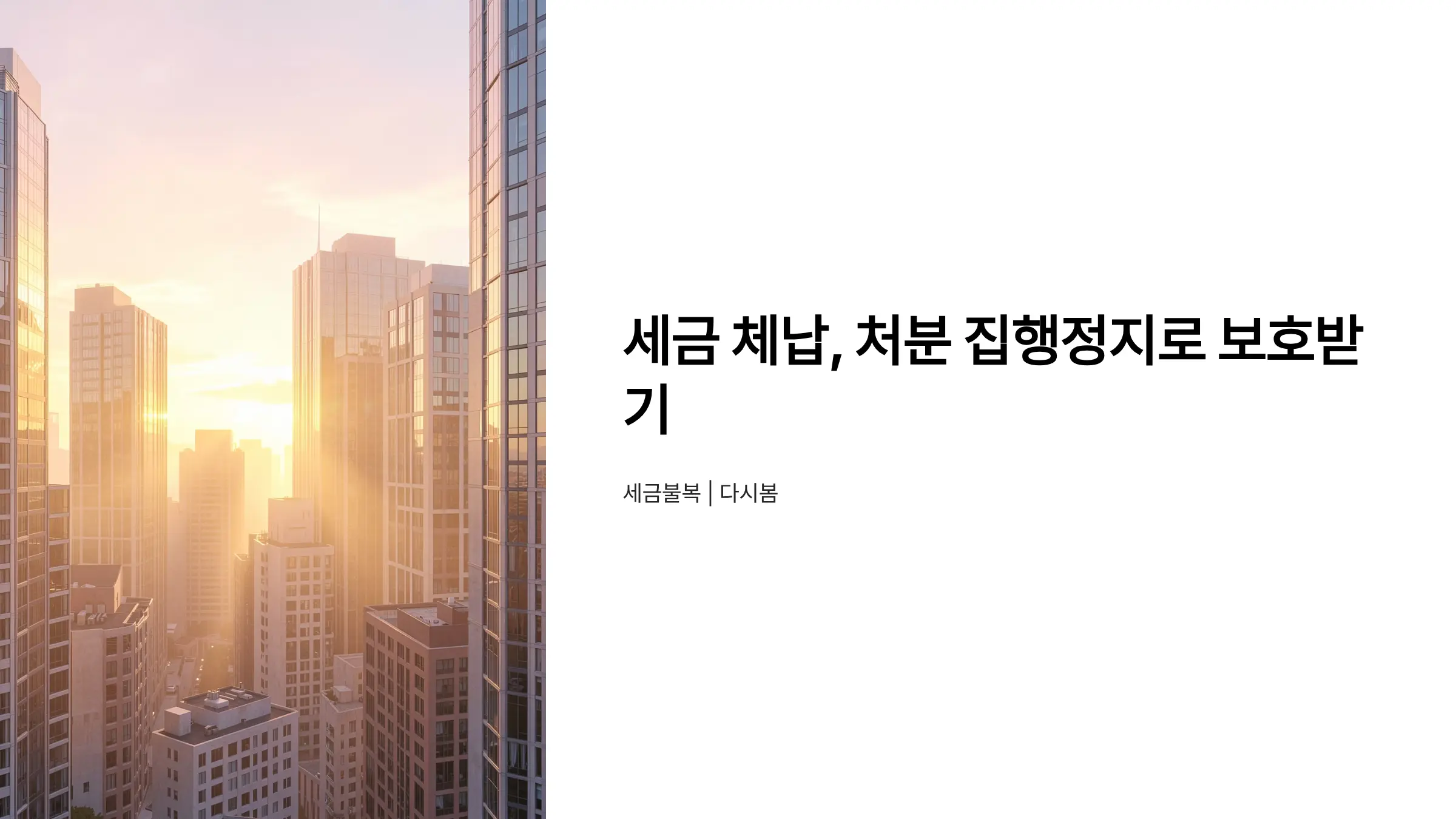 세금 체납 처분 집행정지 신청, 국세 심판청구로 보호받는 방법
