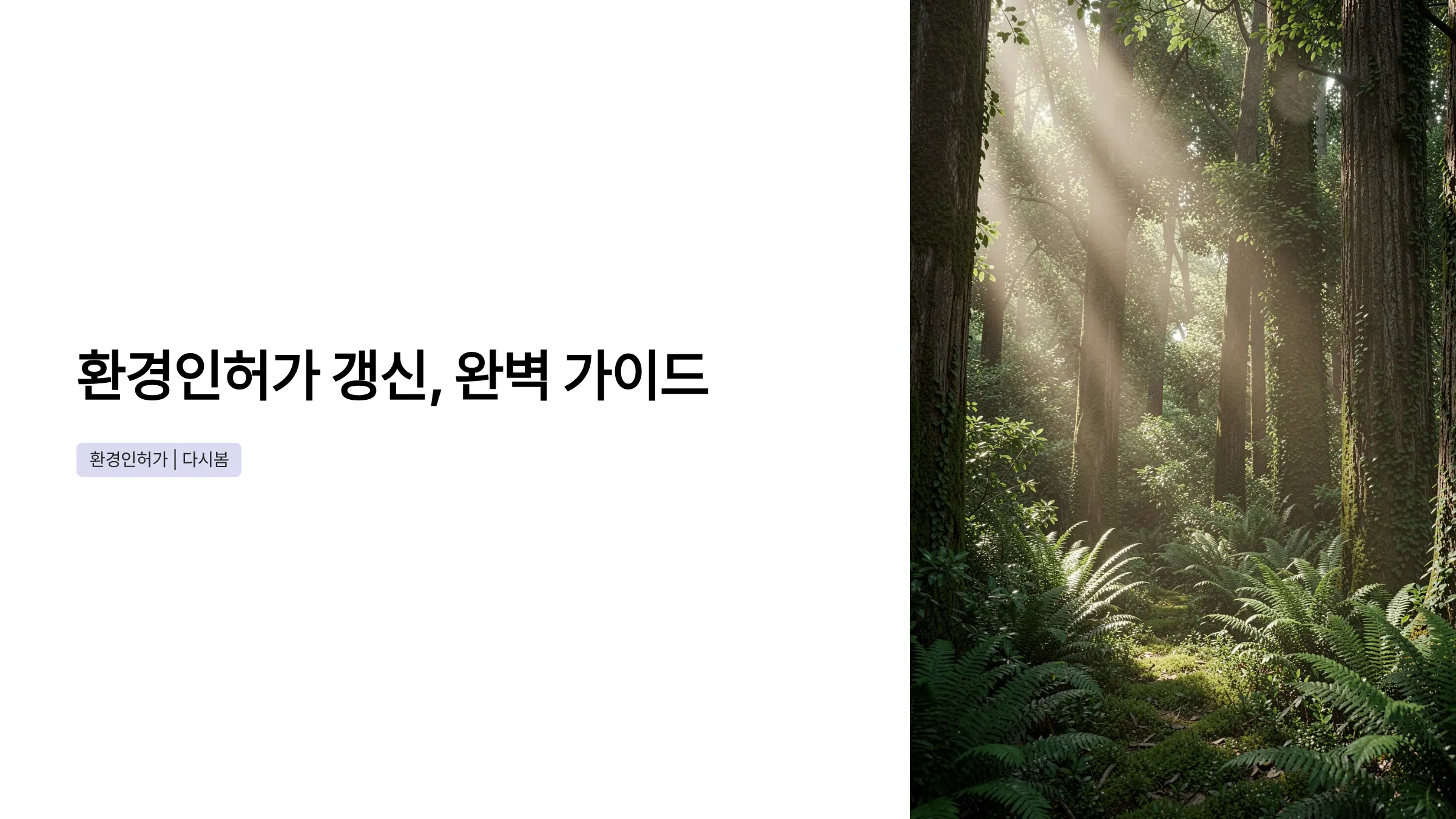 환경영향평가부터 허가갱신까지, 환경 인허가 갱신 절차 완벽 가이드