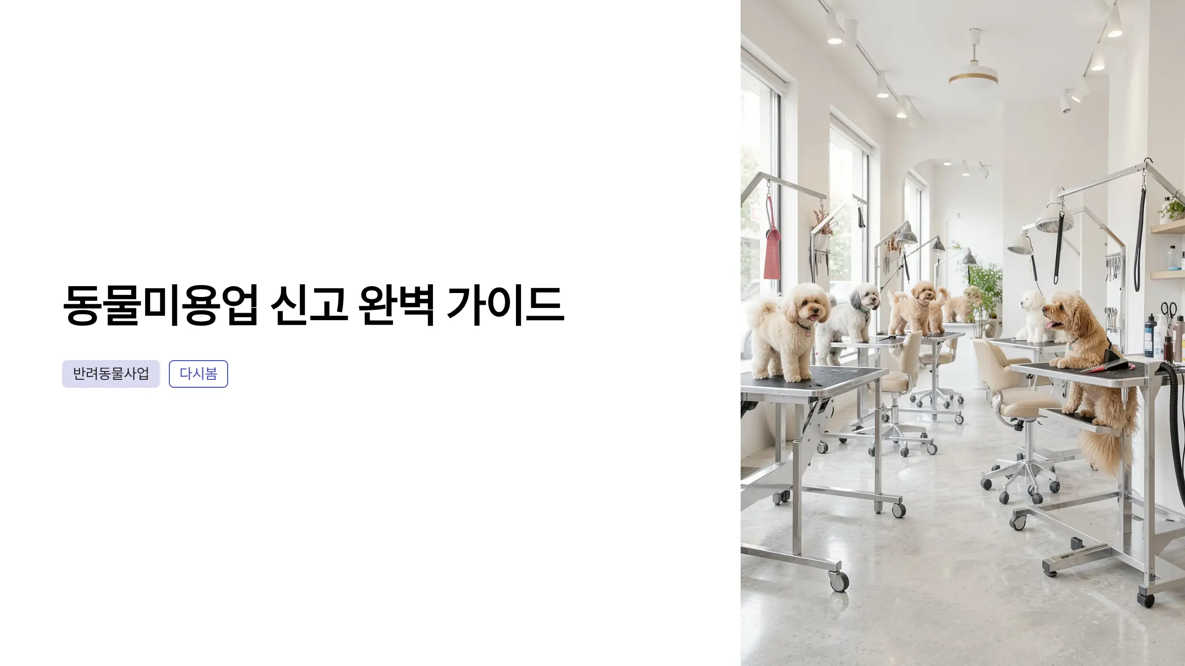 동물병원 개설 허가부터 펫샵 등록까지, 반려동물사업 신고·허가 완전 가이드