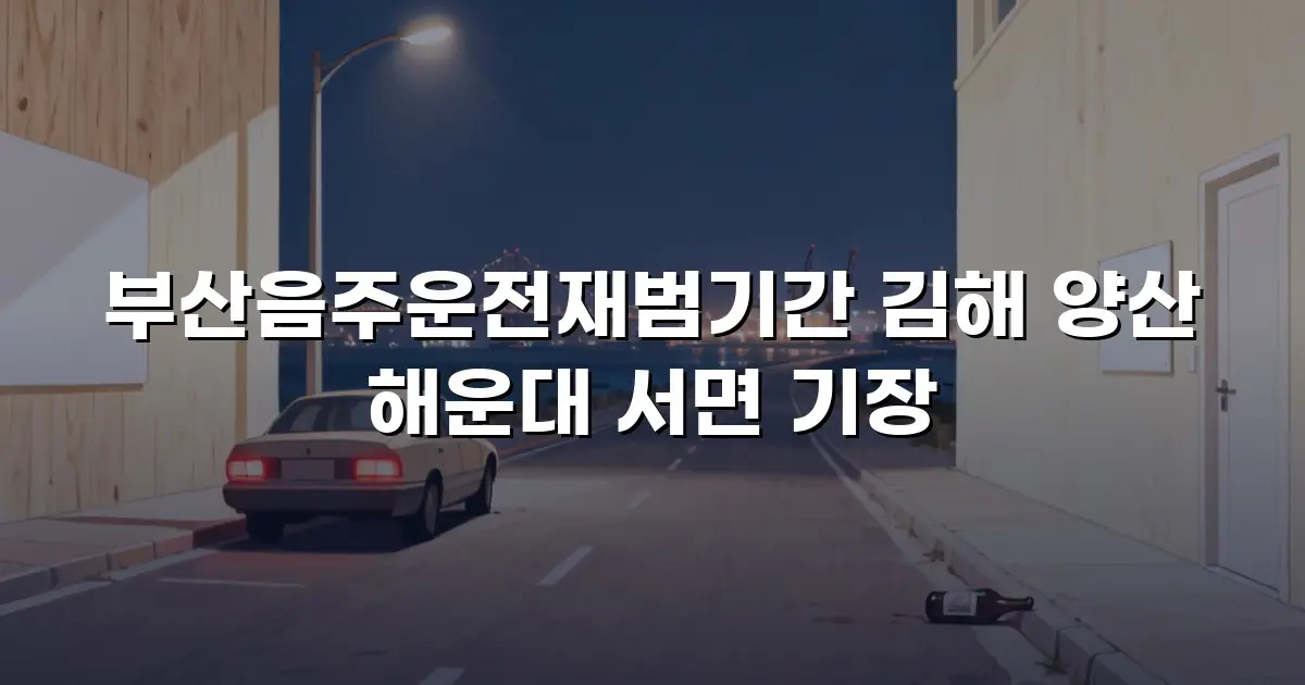 부산음주운전재범기간 김해 양산 해운대 서면 기장