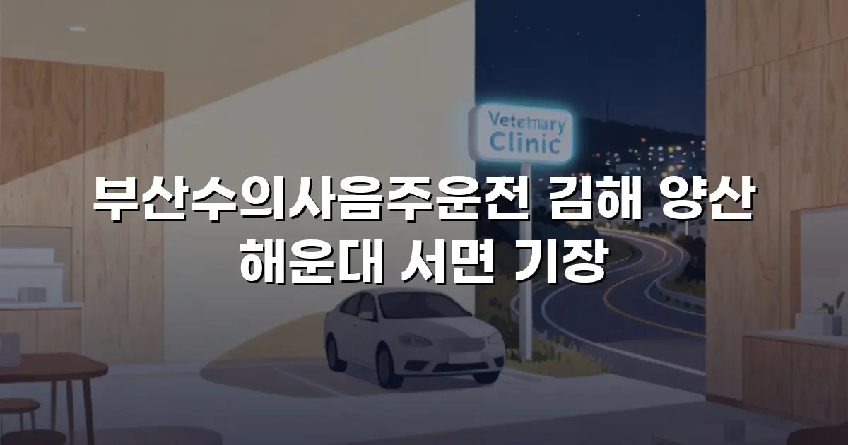 부산수의사음주운전 김해 양산 해운대 서면 기장