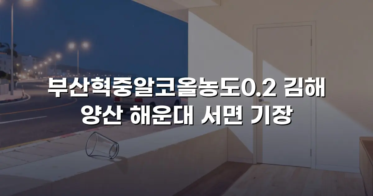 부산혁중알코올농도0.2 김해 양산 해운대 서면 기장