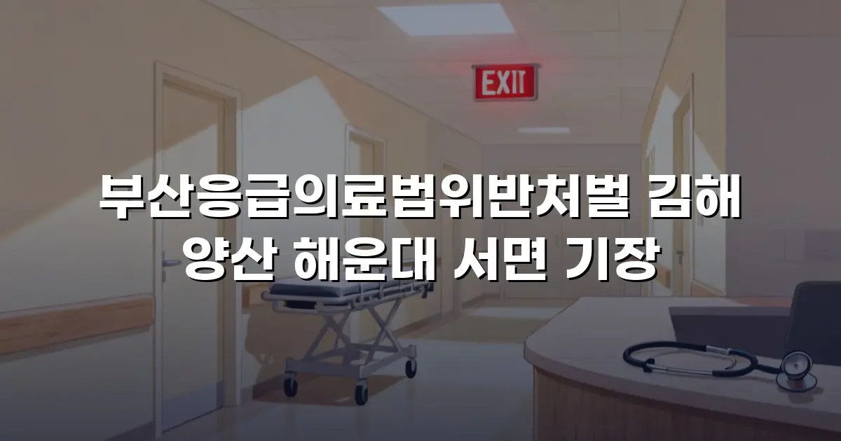 부산응급의료법위반처벌 김해 양산 해운대 서면 기장