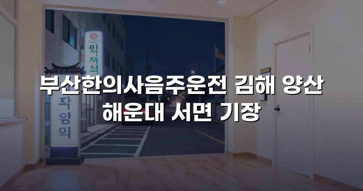 부산한의사음주운전 김해 양산 해운대 서면 기장