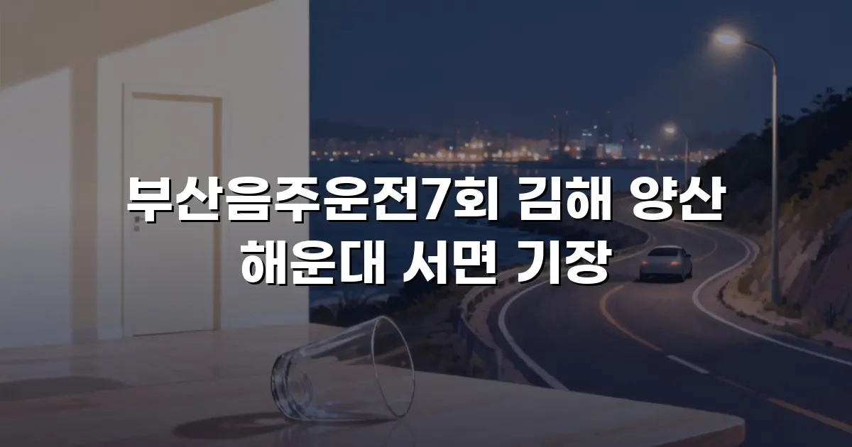 부산음주운전7회 김해 양산 해운대 서면 기장