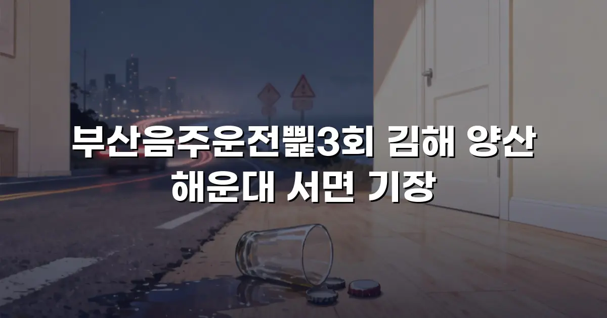 부산음주운전삁3회 김해 양산 해운대 서면 기장