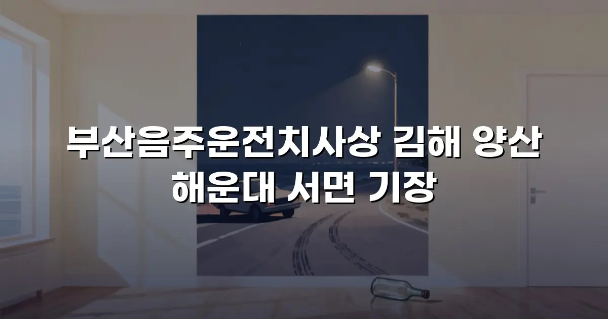 부산음주운전치사상 김해 양산 해운대 서면 기장