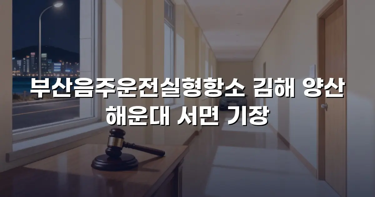 부산음주운전실형항소 김해 양산 해운대 서면 기장