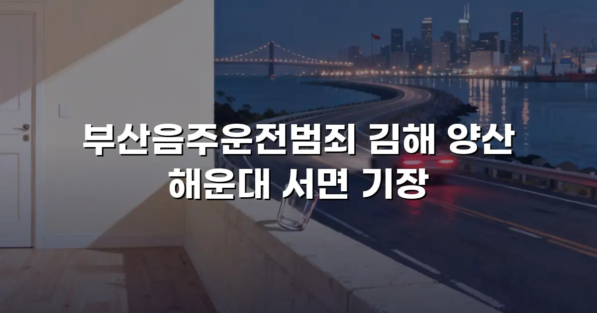 부산음주운전범죄 김해 양산 해운대 서면 기장