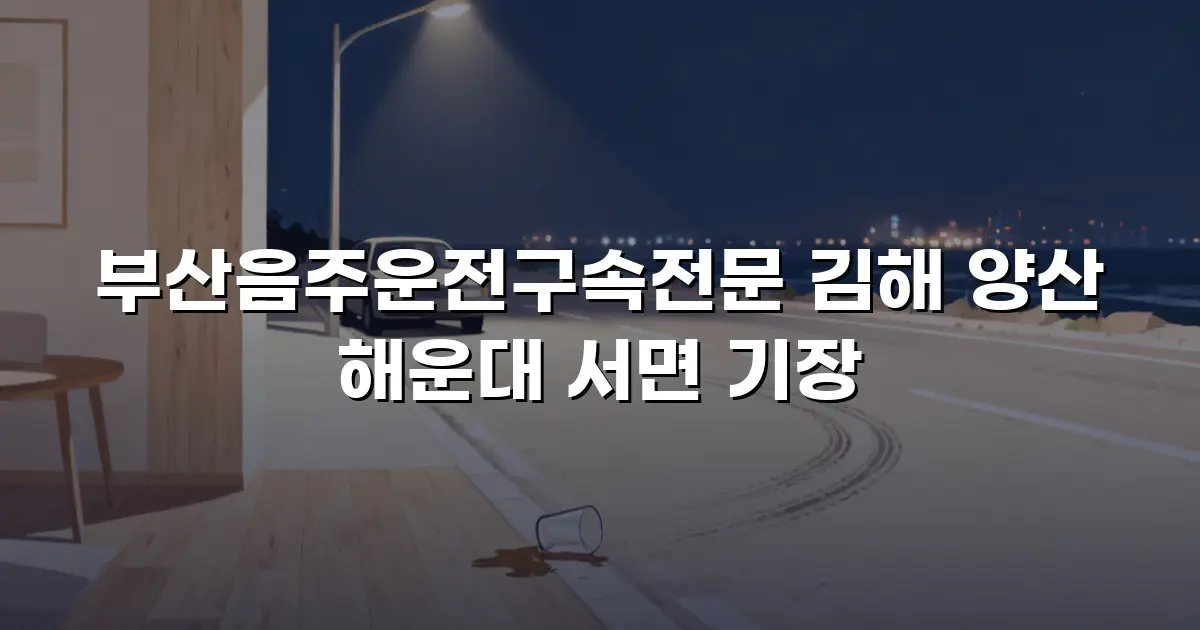 부산음주운전구속전문 김해 양산 해운대 서면 기장