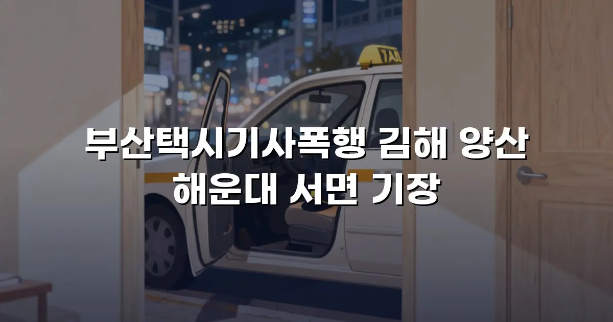 부산택시기사폭행 김해 양산 해운대 서면 기장