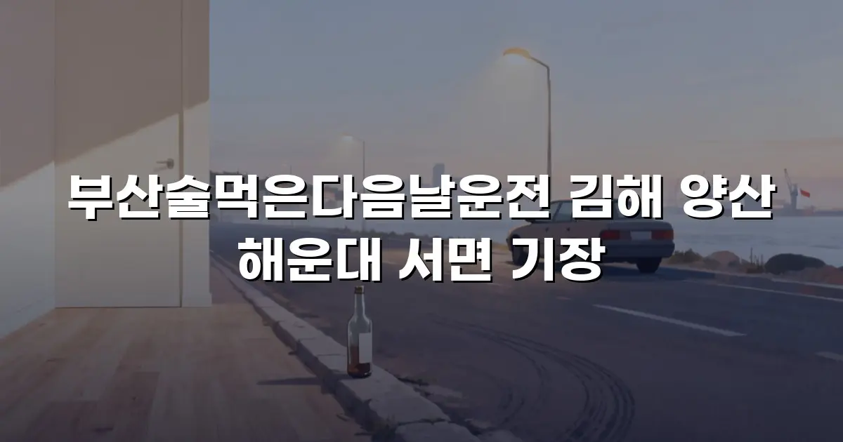 부산술먹은다음날운전 김해 양산 해운대 서면 기장