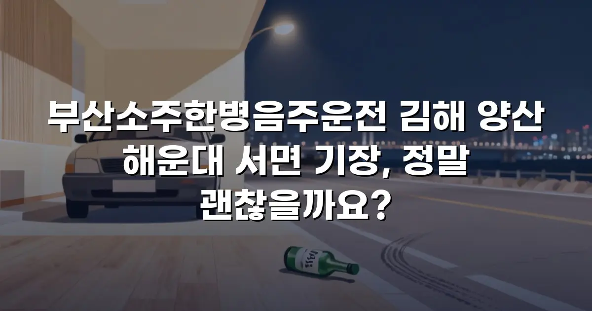 부산소주한병음주운전 김해 양산 해운대 서면 기장, 정말 괜찮을까요?