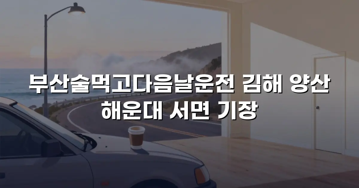 부산술먹고다음날운전 김해 양산 해운대 서면 기장