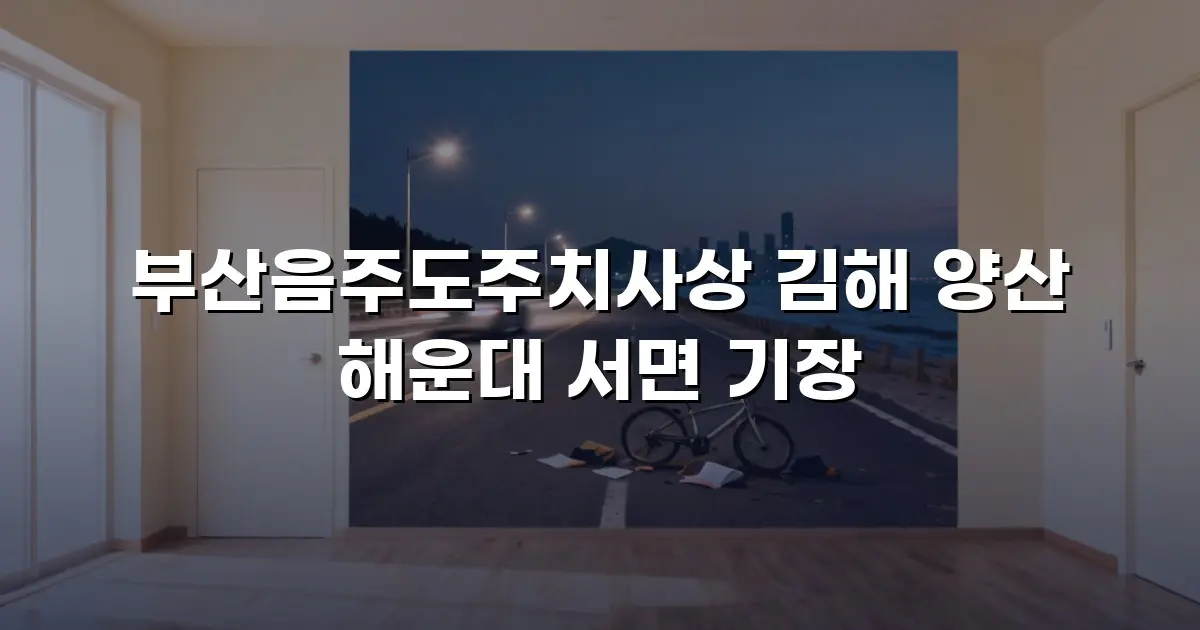 부산음주도주치사상 김해 양산 해운대 서면 기장