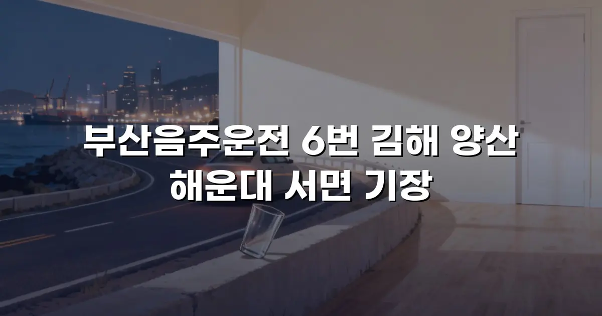 부산음주운전 6번 김해 양산 해운대 서면 기장