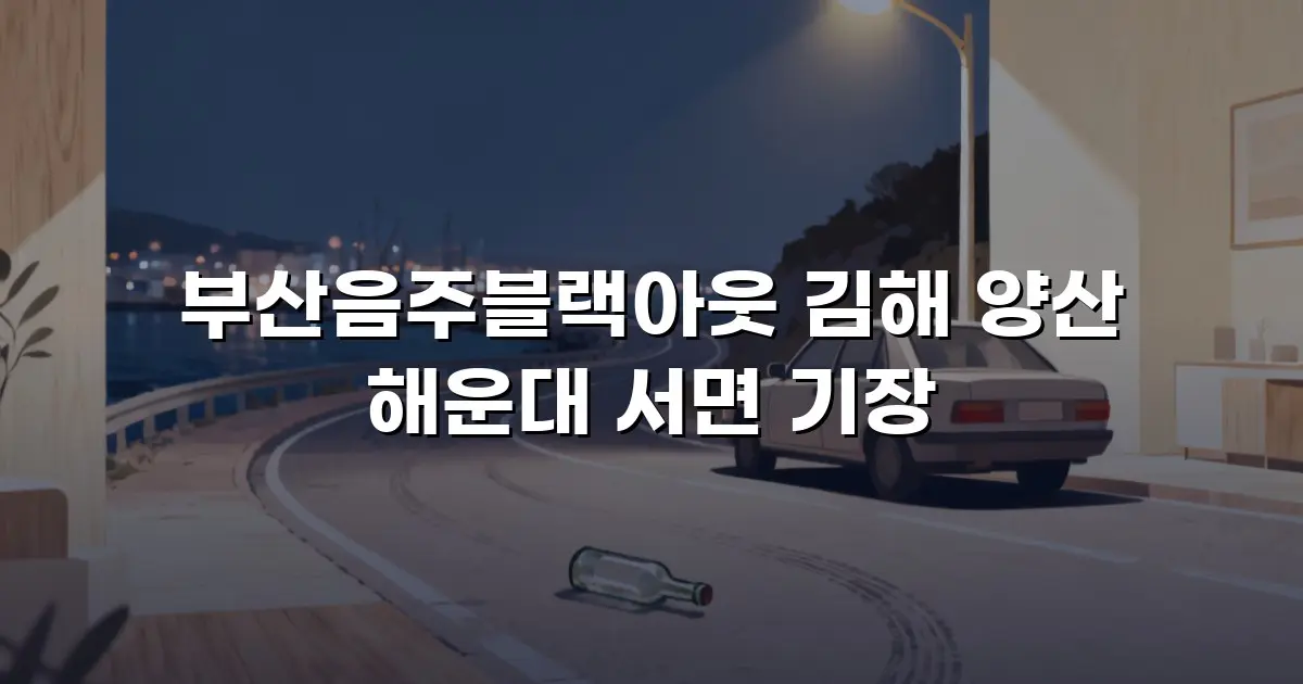 부산음주블랙아웃 김해 양산 해운대 서면 기장