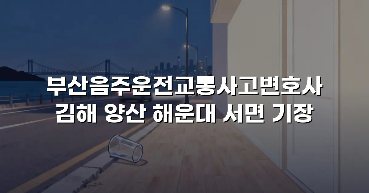 부산음주운전교통사고변호사 김해 양산 해운대 서면 기장