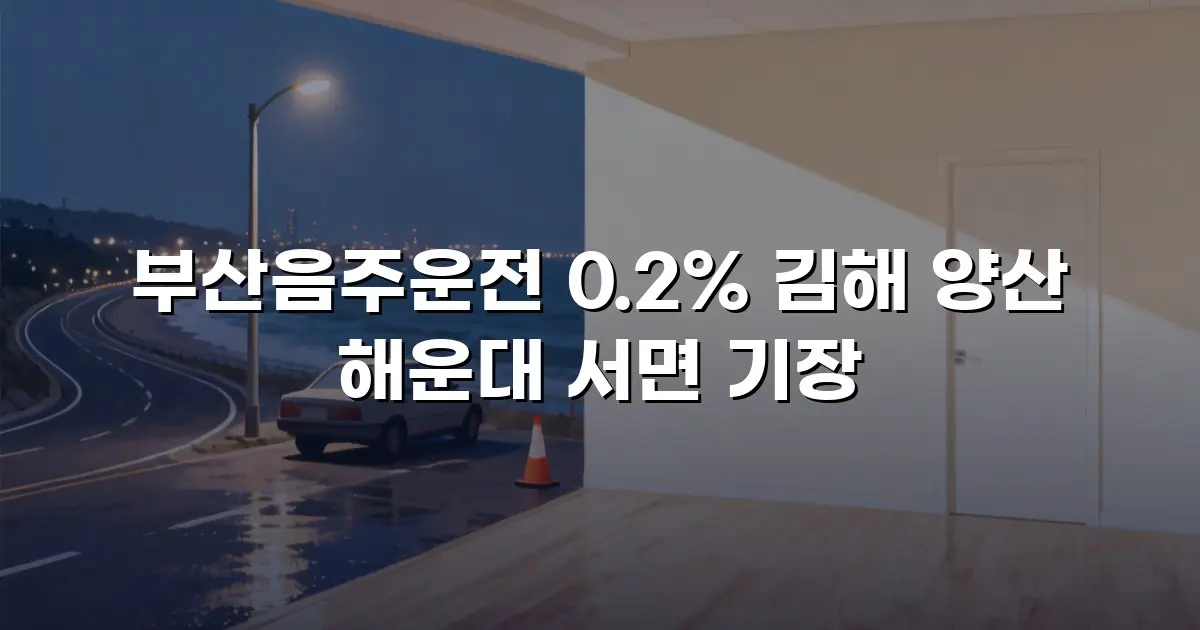 부산음주운전 0.2% 김해 양산 해운대 서면 기장