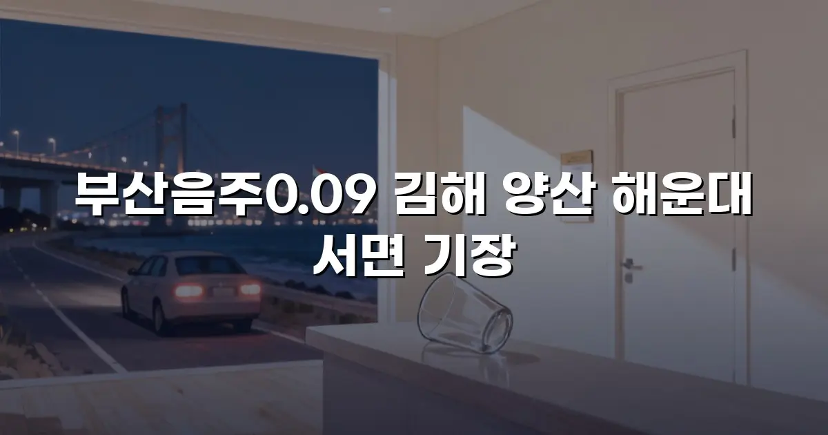 부산음주0.09 김해 양산 해운대 서면 기장