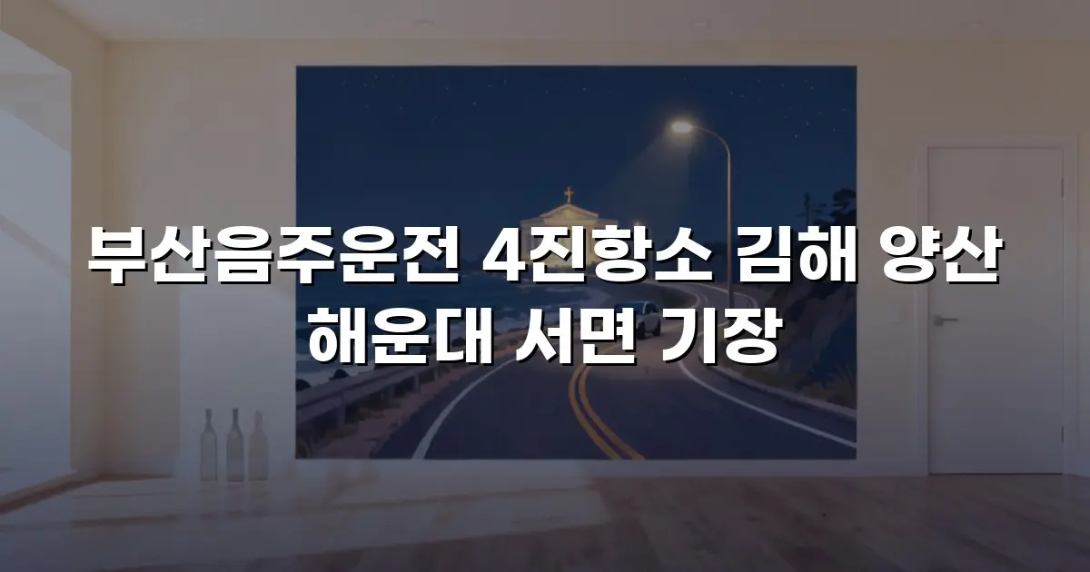 부산음주운전 4진항소 김해 양산 해운대 서면 기장