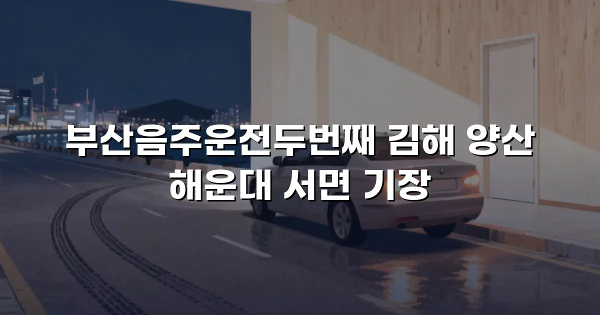 부산음주운전두번째 김해 양산 해운대 서면 기장