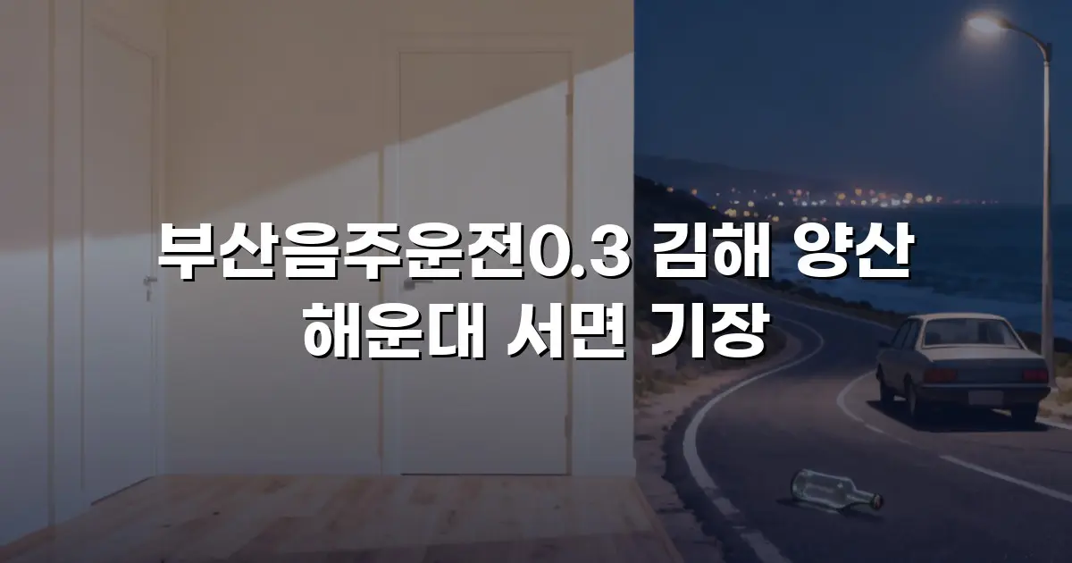 부산음주운전0.3 김해 양산 해운대 서면 기장