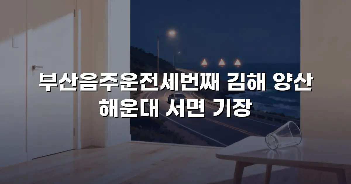 부산음주운전세번째 김해 양산 해운대 서면 기장