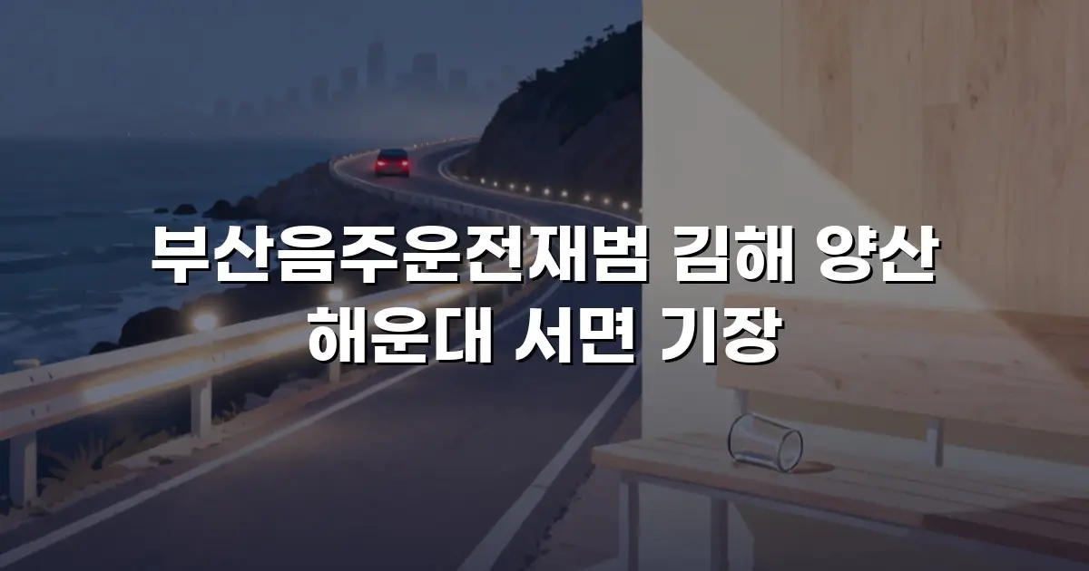 부산음주운전재범 김해 양산 해운대 서면 기장