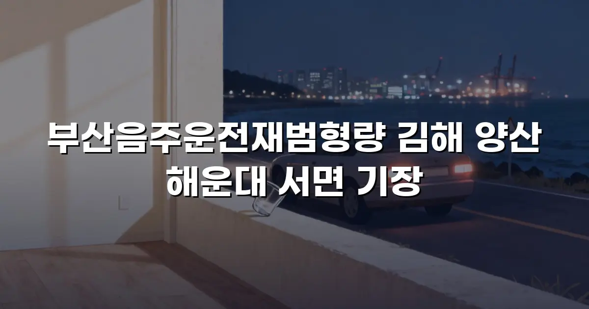 부산음주운전재범형량 김해 양산 해운대 서면 기장