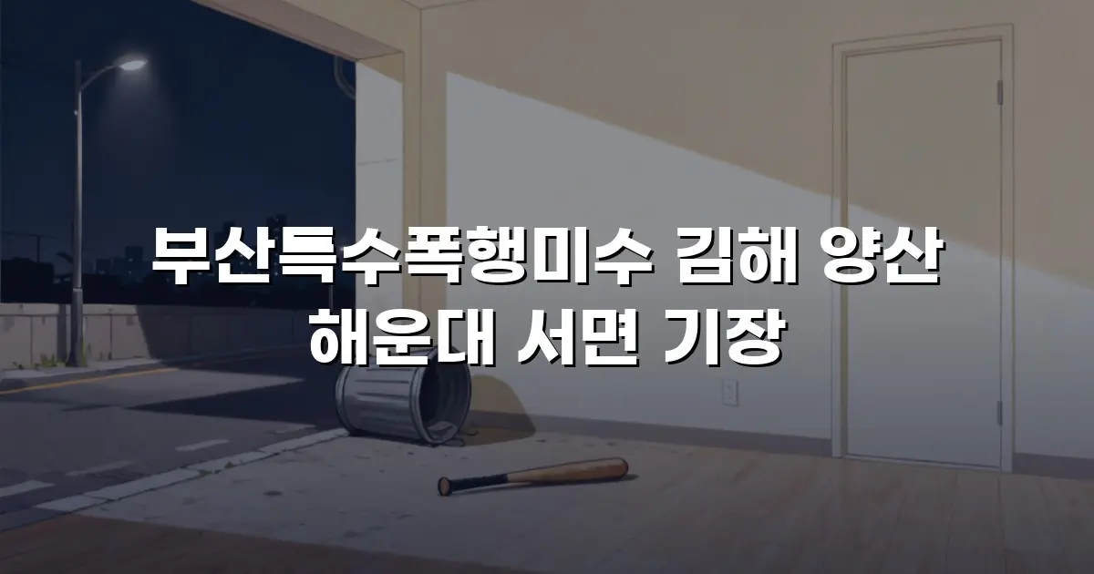 부산특수폭행미수 김해 양산 해운대 서면 기장