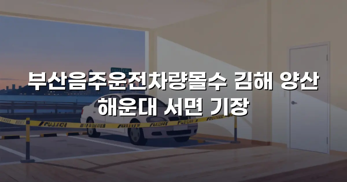 부산음주운전차량몰수 김해 양산 해운대 서면 기장