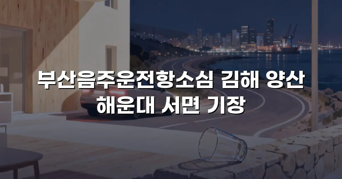 부산음주운전항소심 김해 양산 해운대 서면 기장