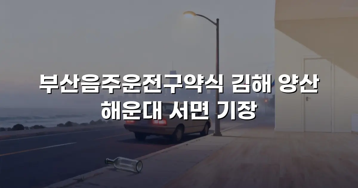 부산음주운전구약식 김해 양산 해운대 서면 기장