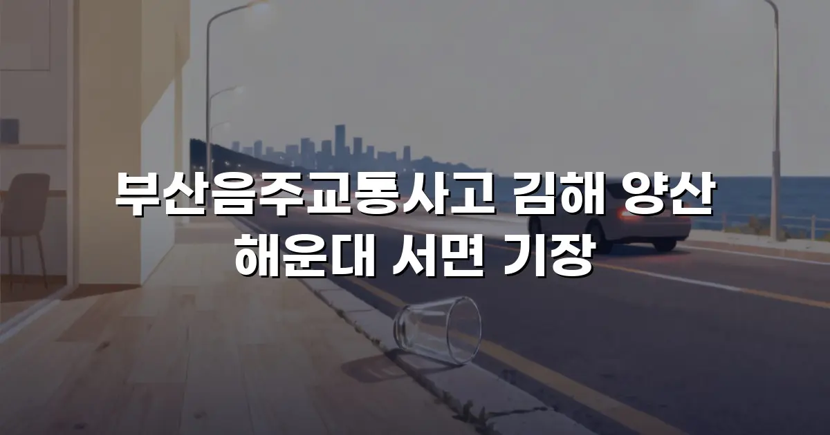 부산음주교통사고 김해 양산 해운대 서면 기장