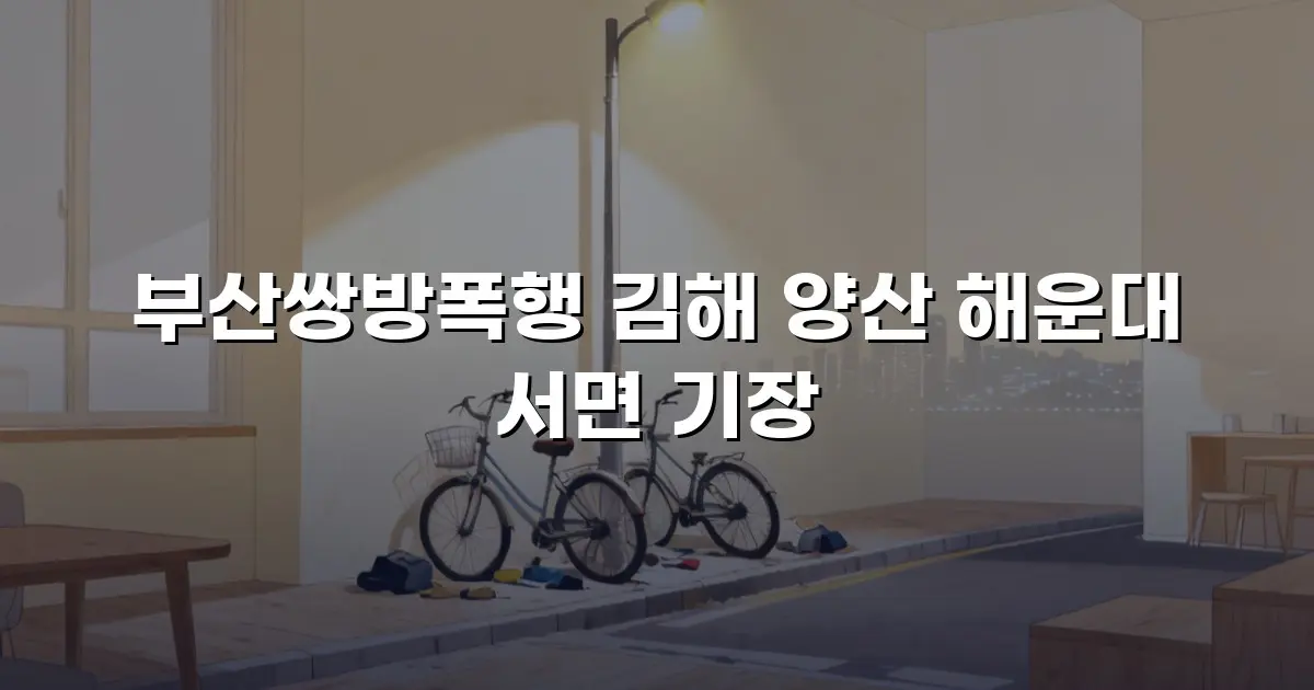 부산쌍방폭행 김해 양산 해운대 서면 기장
