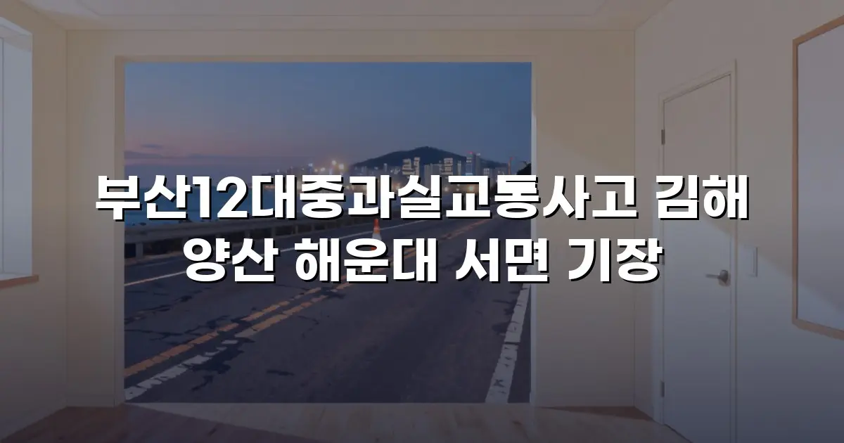 부산12대중과실교통사고 김해 양산 해운대 서면 기장