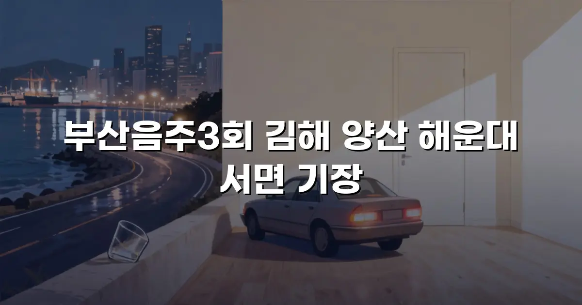 부산음주3회 김해 양산 해운대 서면 기장