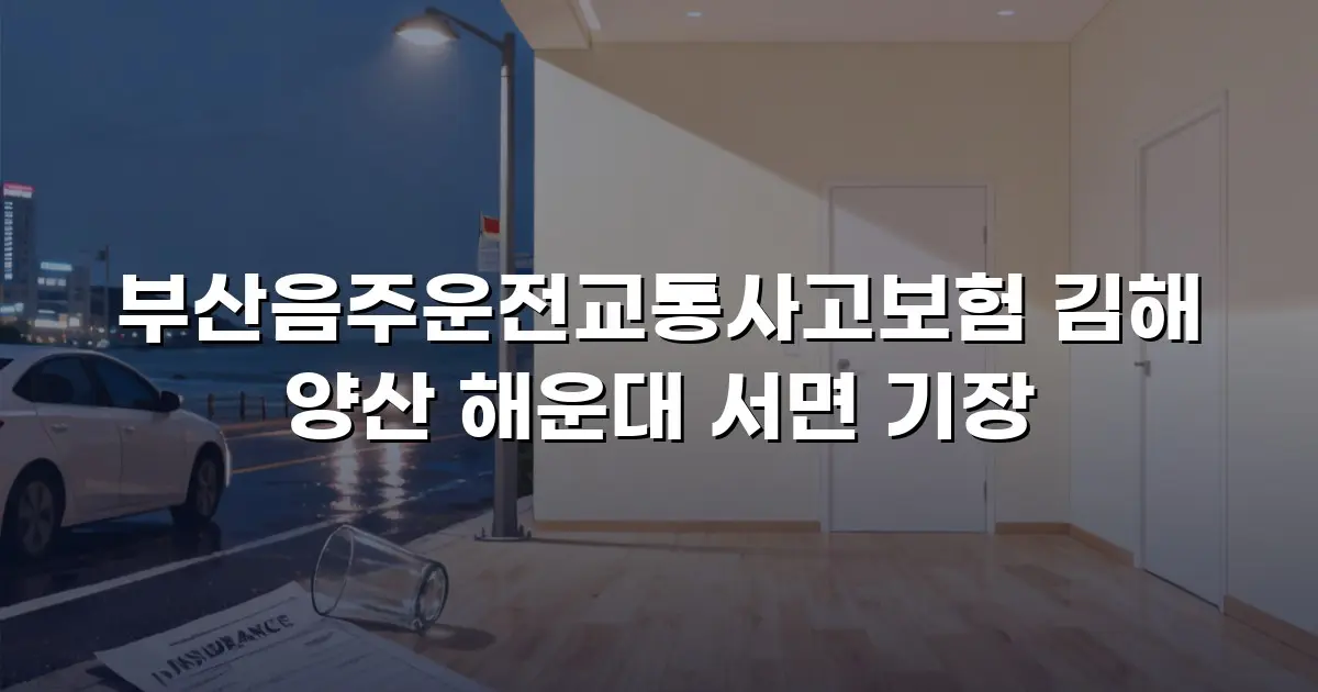 부산음주운전교통사고보험 김해 양산 해운대 서면 기장