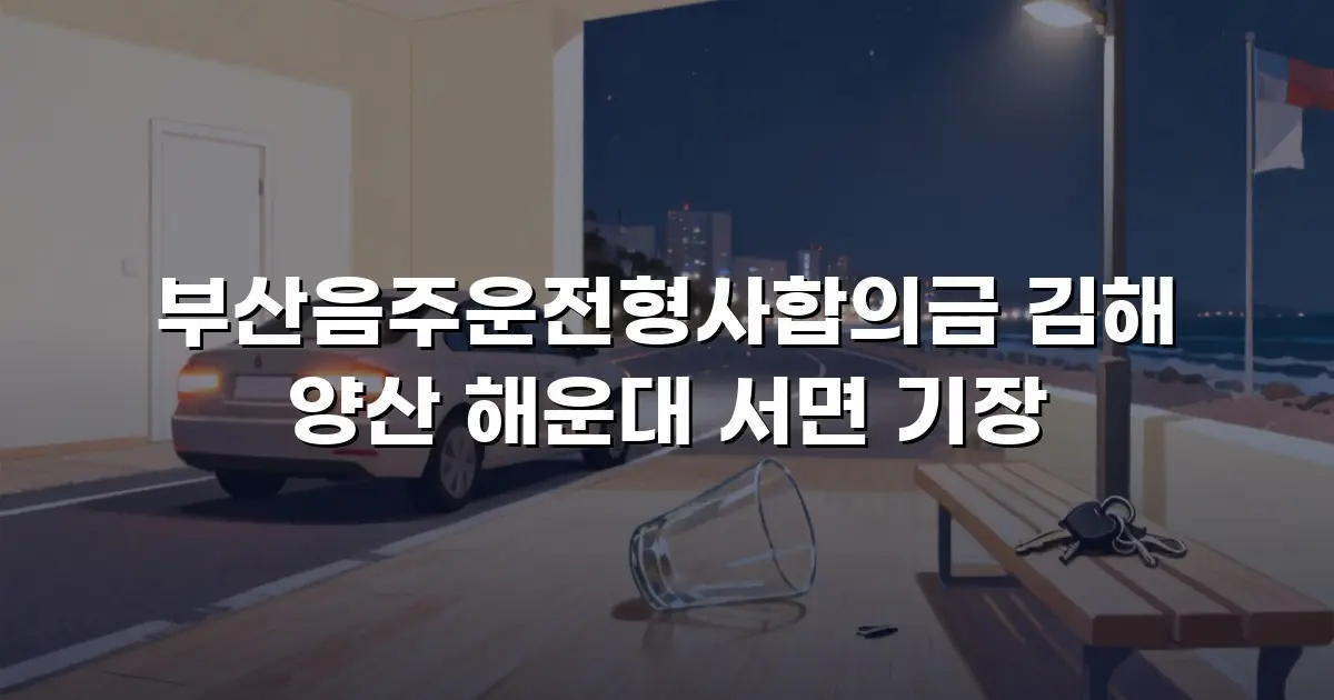 부산음주운전형사합의금 김해 양산 해운대 서면 기장